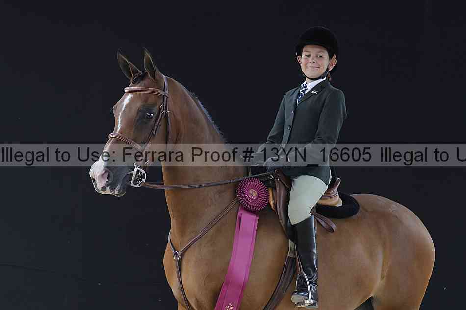 Proof 13yn_16605