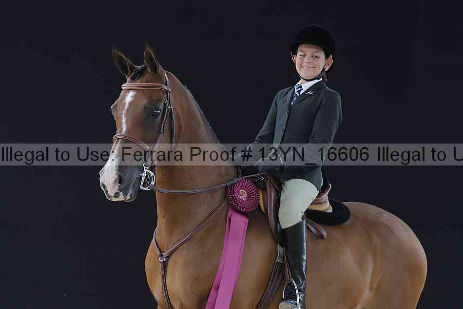 Proof 13yn_16606
