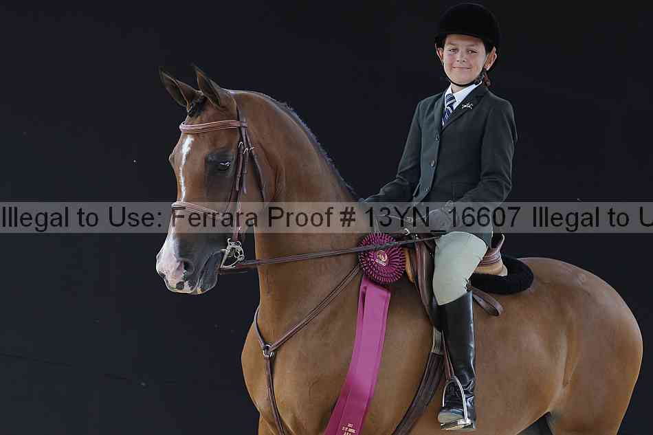 Proof 13yn_16607