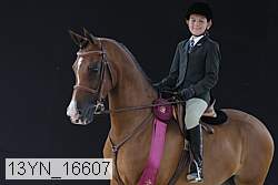 13yn_16607 proof