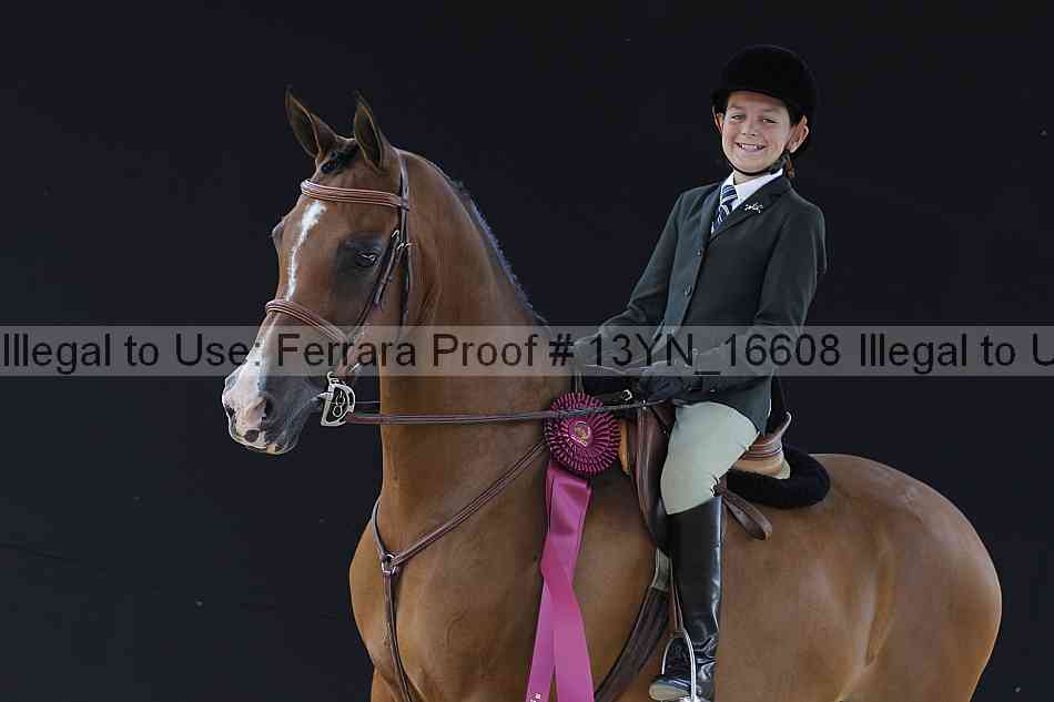 Proof 13yn_16608