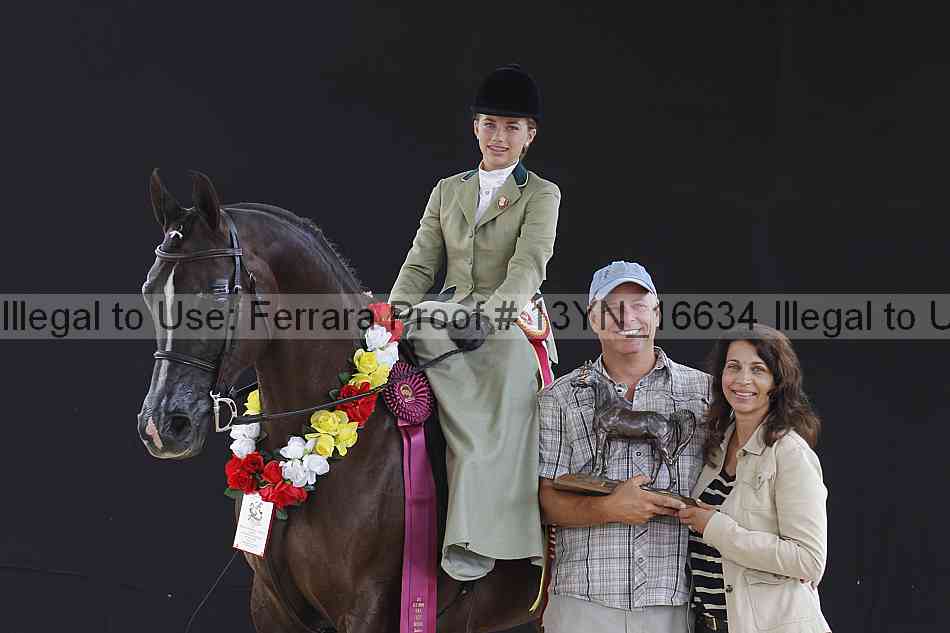 Proof 13yn_16634