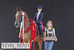 13yn_16701 proof