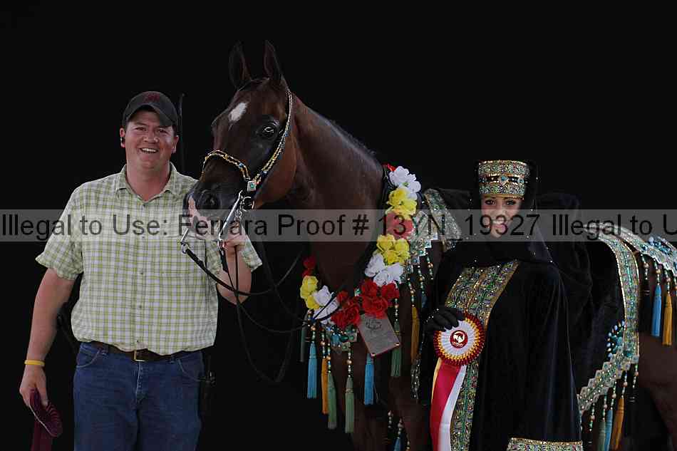 Proof 13yn_19327