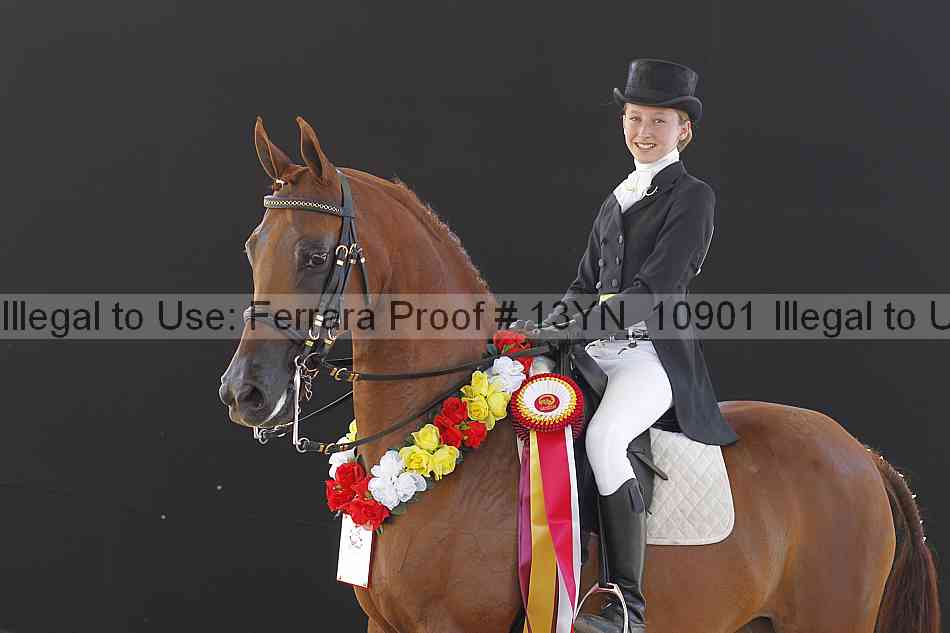 Proof 13yn_10901