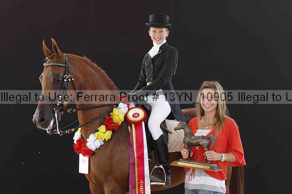 Proof 13yn_10905
