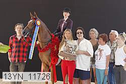 13yn_11726 proof