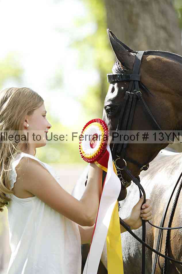 Proof 13yn_11794