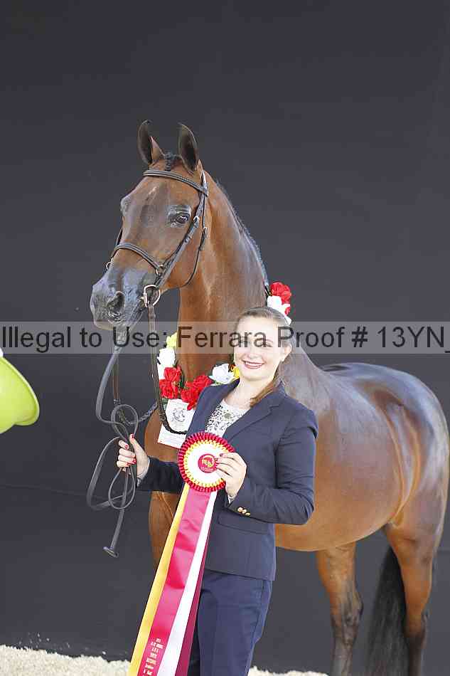Proof 13yn_10005
