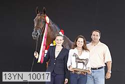 13yn_10017 proof