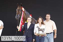 13yn_10019 proof