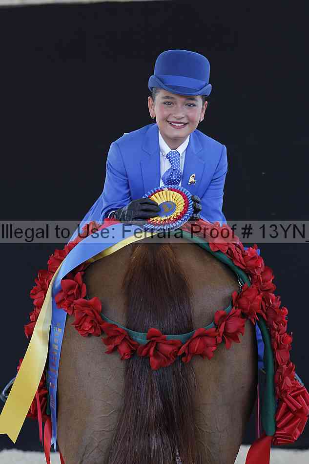 Proof 13yn_10053