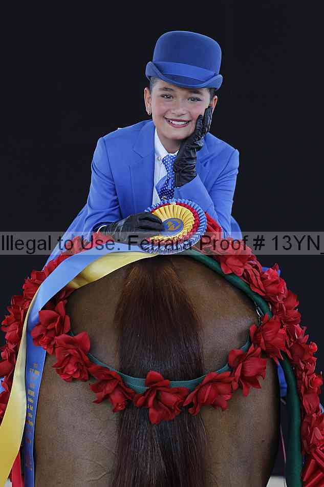 Proof 13yn_10054
