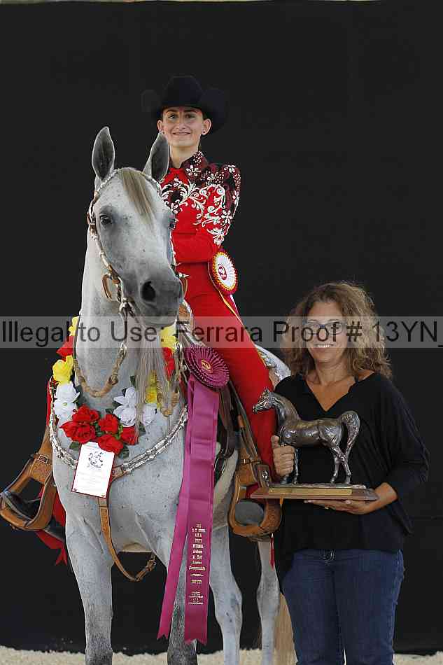 Proof 13yn_10066