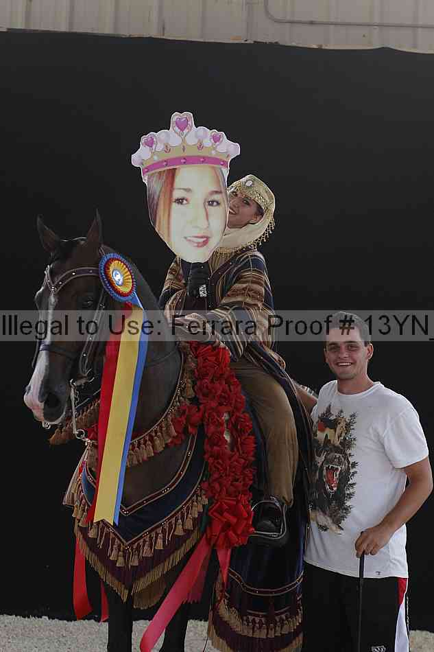 Proof 13yn_12417