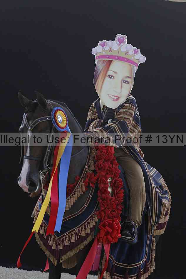 Proof 13yn_12419