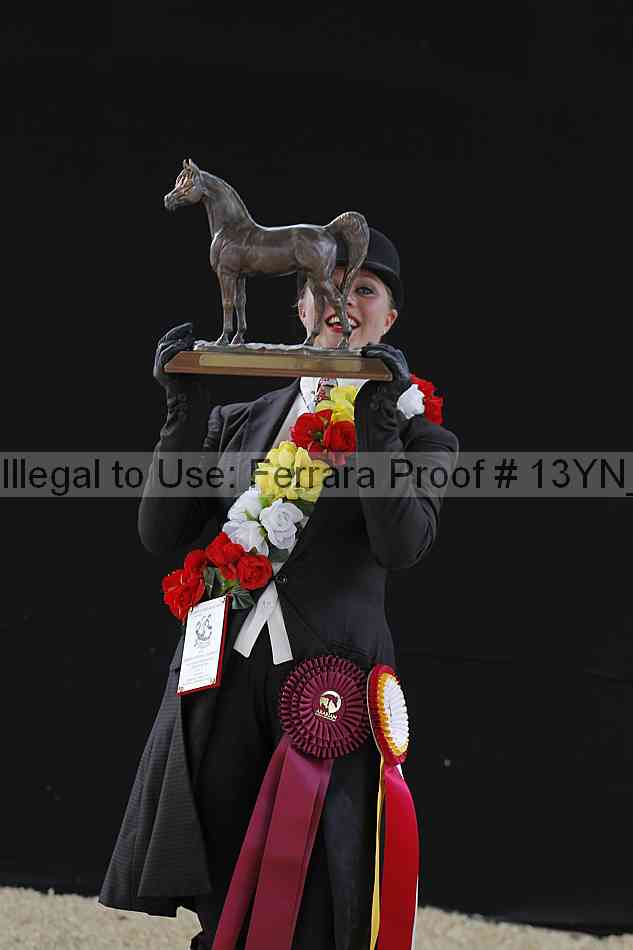 Proof 13yn_14789