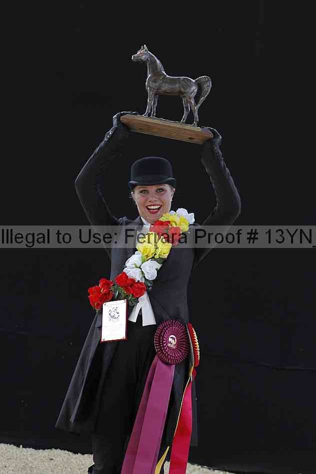Proof 13yn_14790