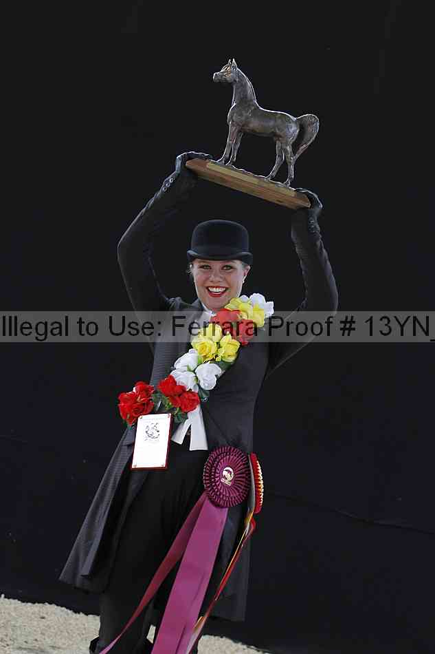 Proof 13yn_14791