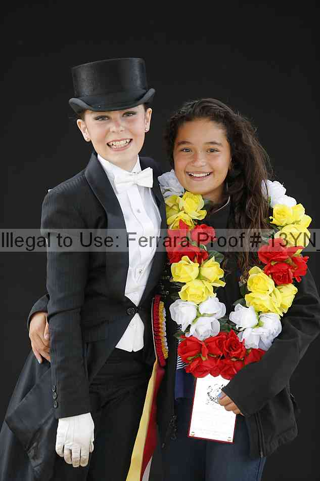 Proof 13yn_15974