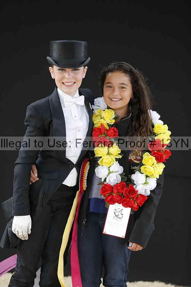 Proof 13yn_15976