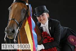 13yn_16003 proof