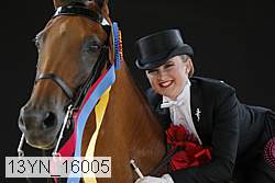 13yn_16005 proof