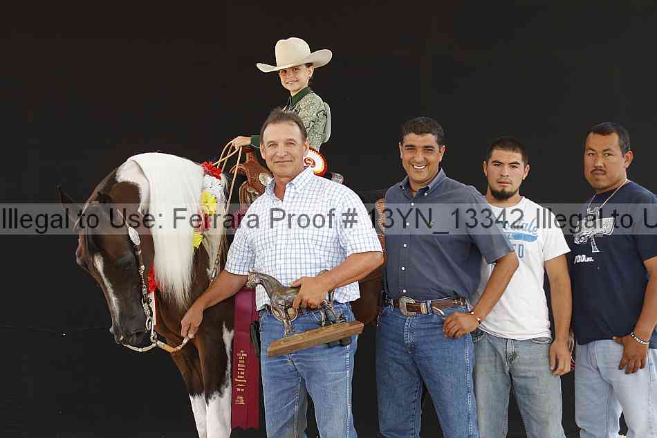 Proof 13yn_13342