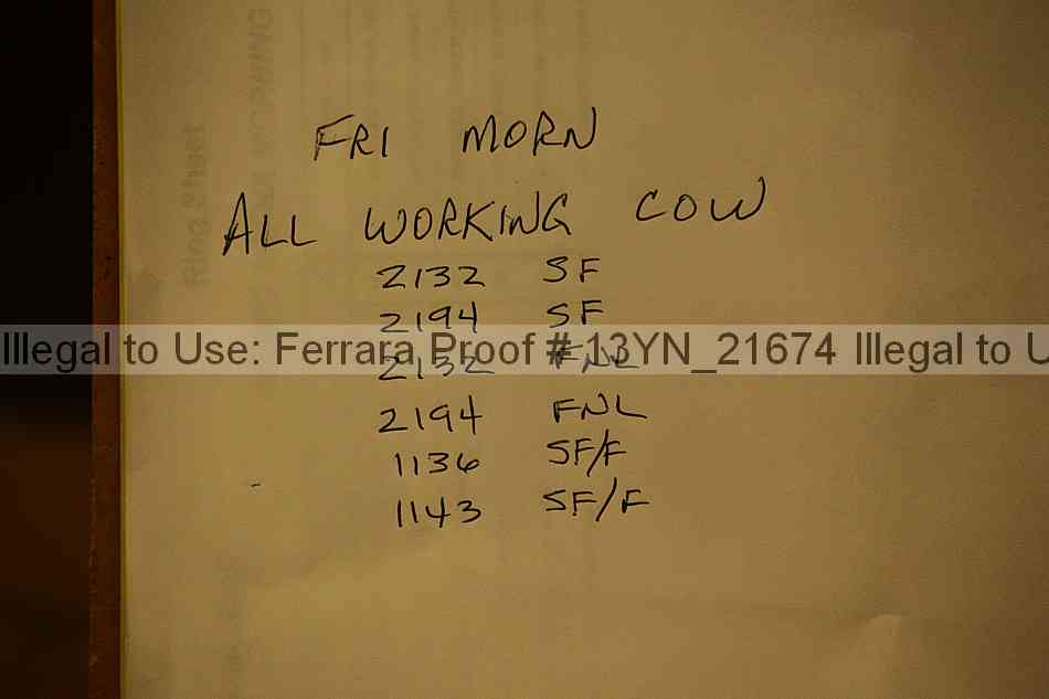 Proof 13yn_21674