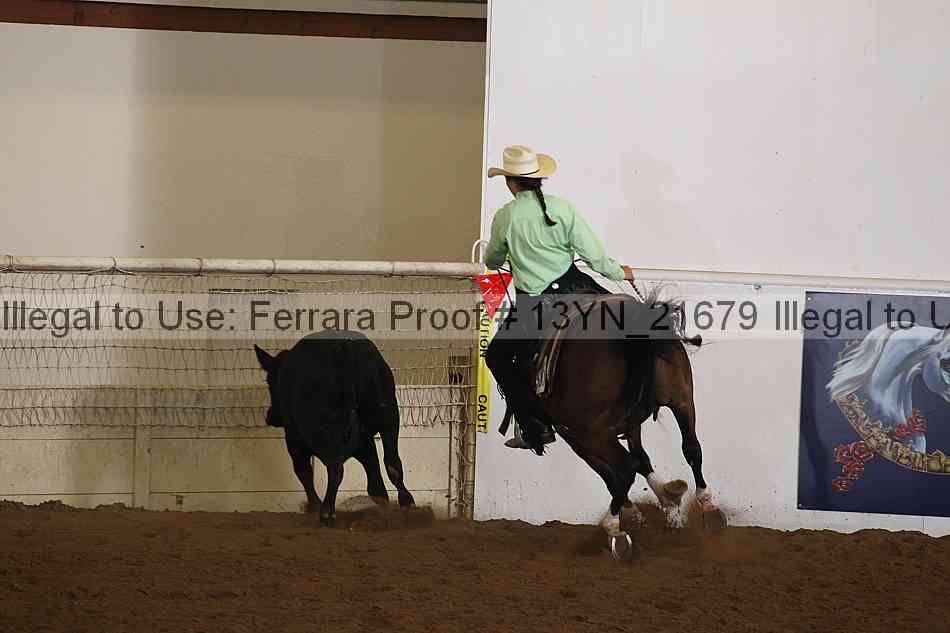 Proof 13yn_21679