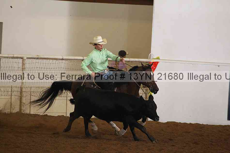 Proof 13yn_21680