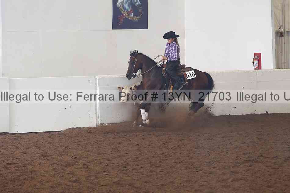 Proof 13yn_21703