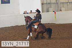 13yn_21717 proof
