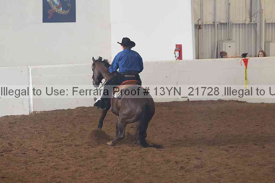 Proof 13yn_21728