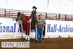 13yn_21753 proof