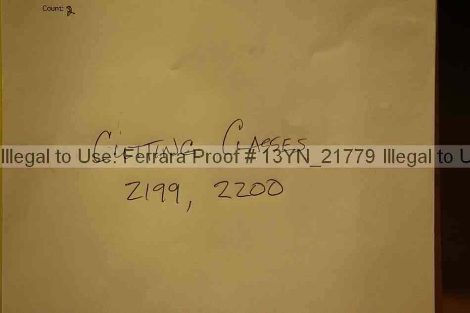 Proof 13yn_21779