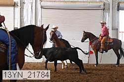 13yn_21784 proof