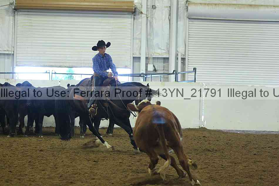 Proof 13yn_21791