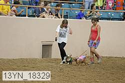 13yn_18329 proof