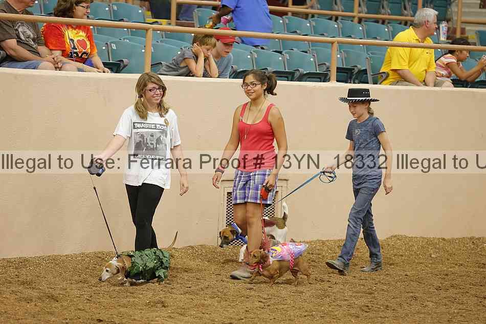 Proof 13yn_18332