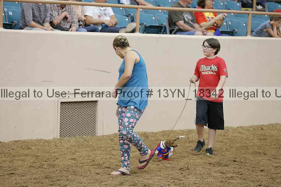 Proof 13yn_18342