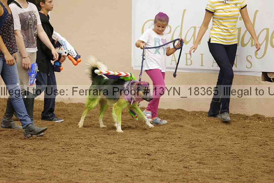 Proof 13yn_18365