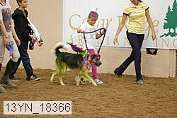 13yn_18366 proof