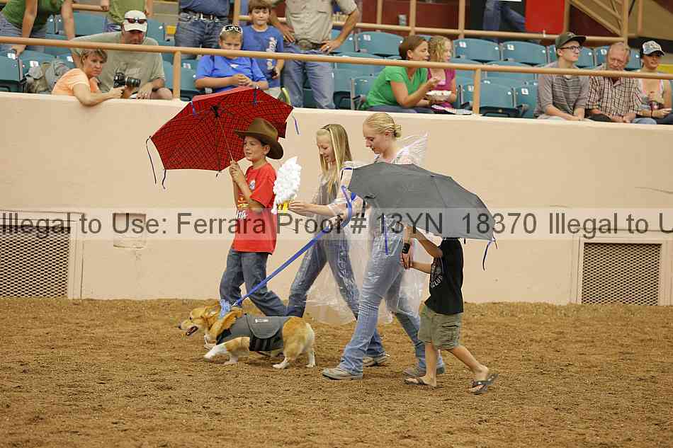 Proof 13yn_18370