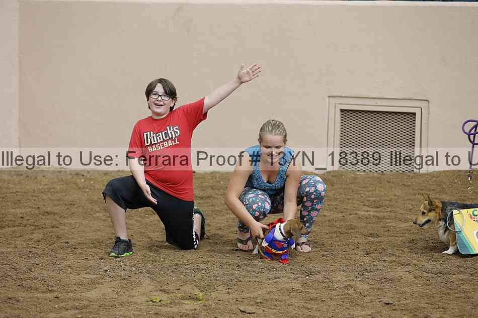Proof 13yn_18389