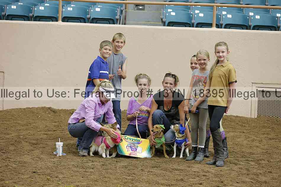 Proof 13yn_18395