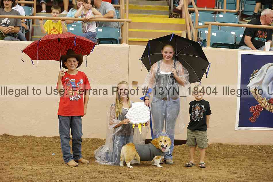 Proof 13yn_18404