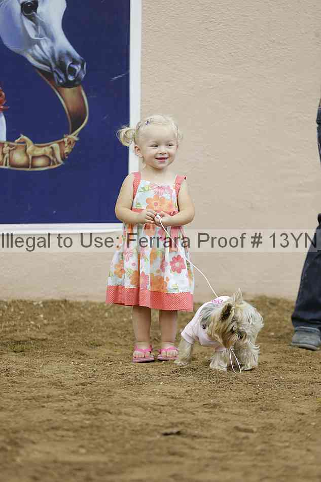 Proof 13yn_18408