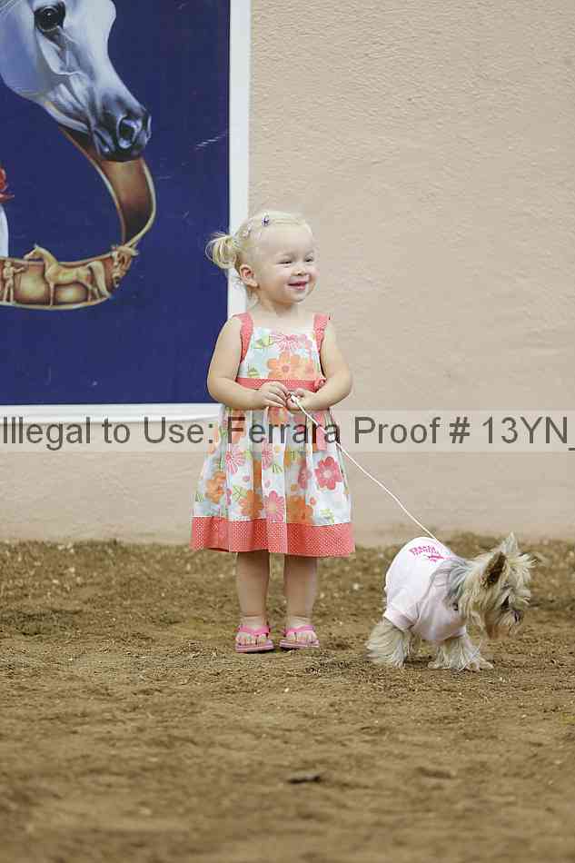Proof 13yn_18409
