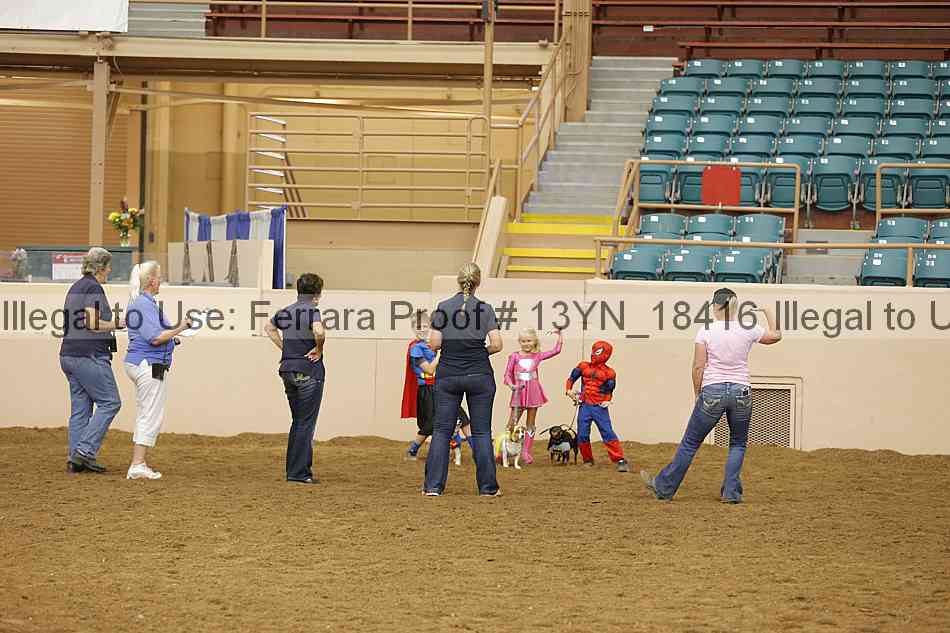 Proof 13yn_18416